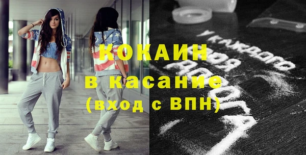 гидра Инсар